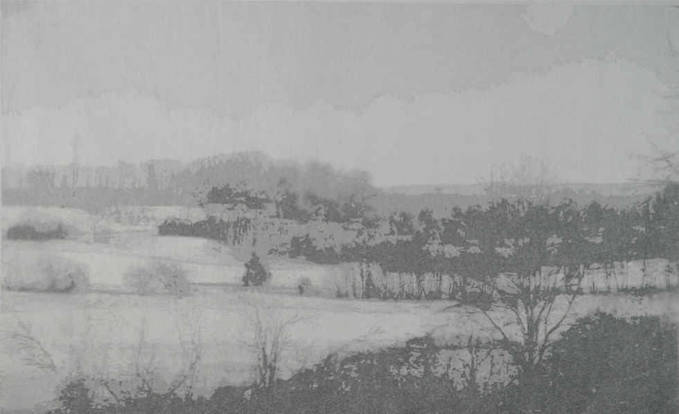 Intimate Landscape