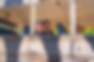 Screenshot 2025-05-07 at 12.54.28 PM.png