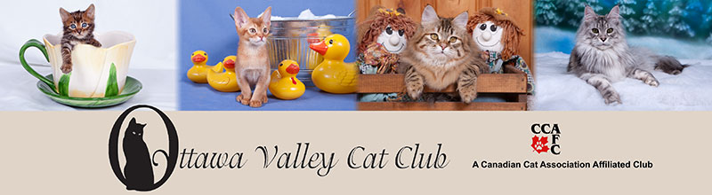 Ottawa Valley Cat Club