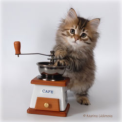 Verineya Onix Gloria, aka Lexi