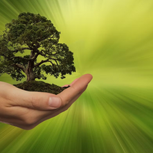 Will Kerosene be available in the future? Is HVO the future for Oil Heating? Renewable Fuels for Oil Boilers.