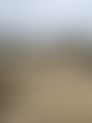 Continual Concrete working alongside Pro Line Concrete Pumping in Sleaford, Lincolnshire