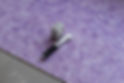 WCarpets23-29 (1).jpg