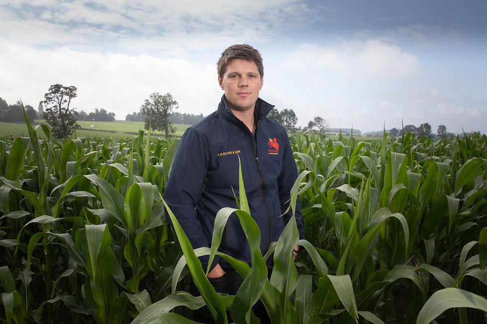 In this update, MGA Vice Chair Will Oliver shares practical reflections on the key decisions facing maize growers, from nutrient strategy and establishment to justifying every pass in the field. With a clear focus on understanding soils, accurately valuing inputs and making informed choices, he highlights where careful thinking and attention to fundamentals can deliver real value this season
