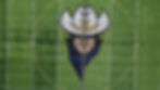 Frame.jpg