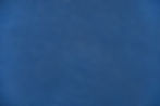Blue Leather.jpg