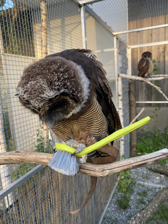 Putzen find ich cool