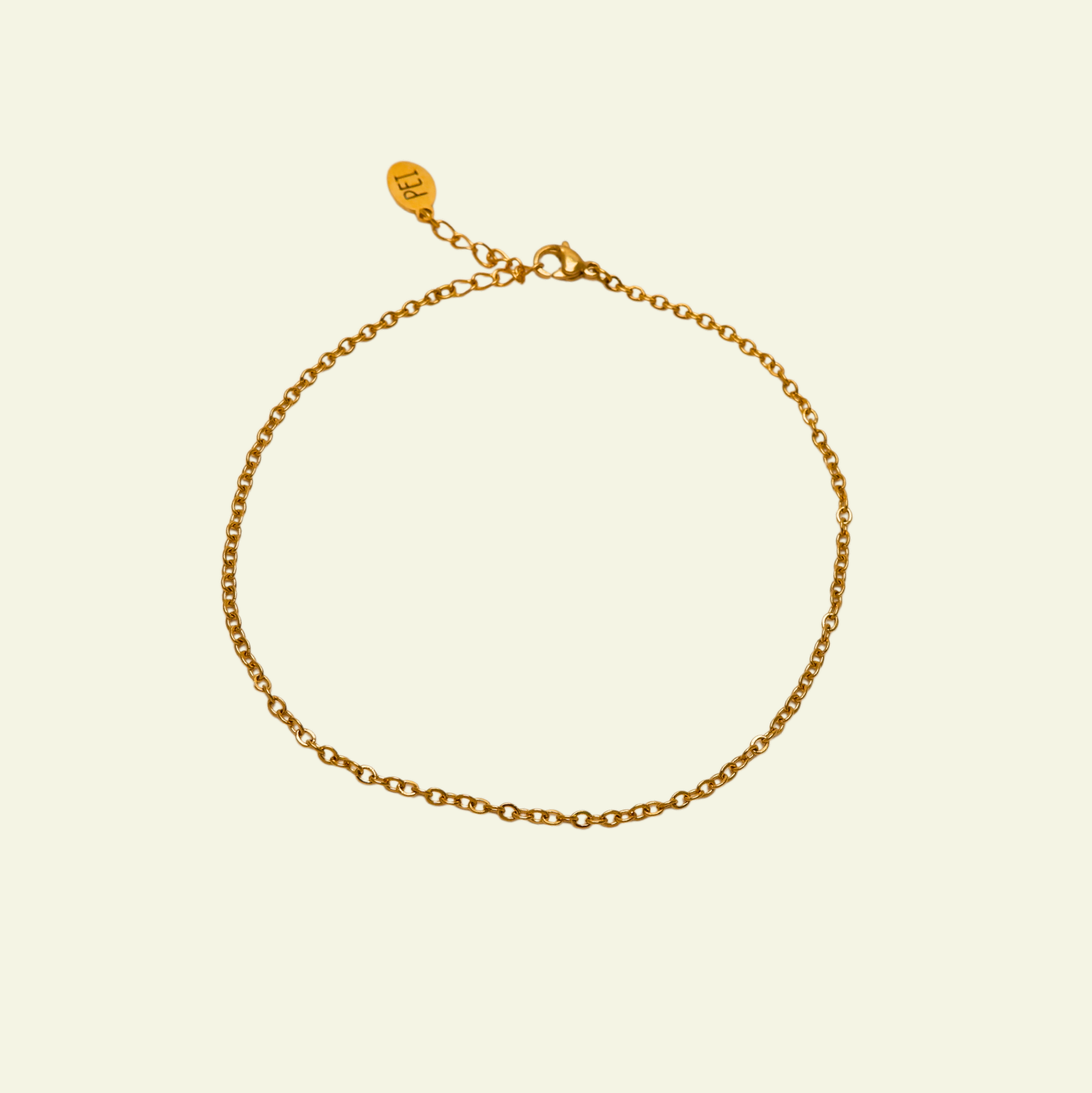 Classic chain anklet