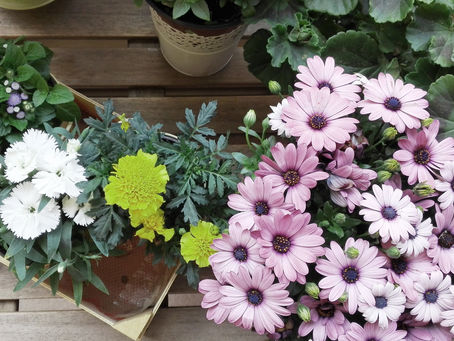 PLAYING WITH PATTERNS