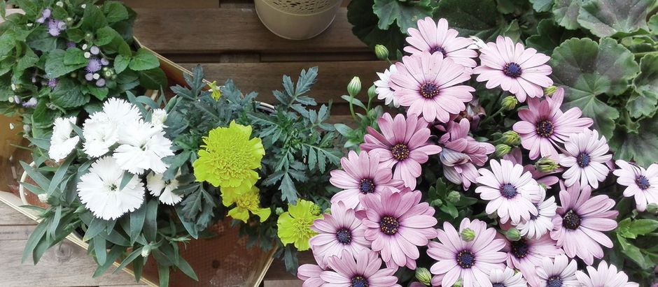 PLAYING WITH PATTERNS