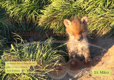 366-Tage-Kalender von Katharina Fiebenitz | Kreative Auszeit – Tag für Tag