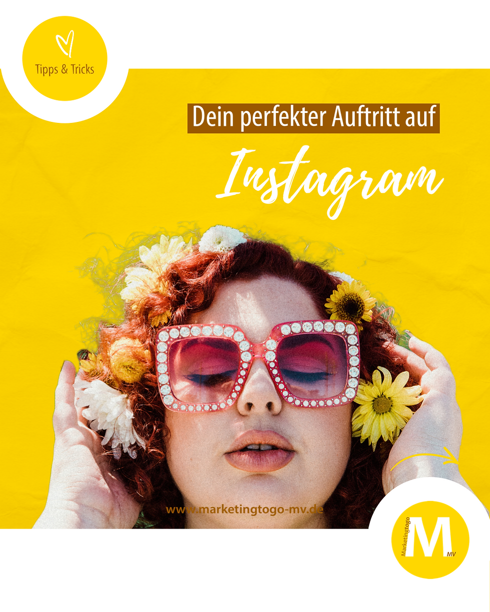 Dein perfekter Instagram Auftritt