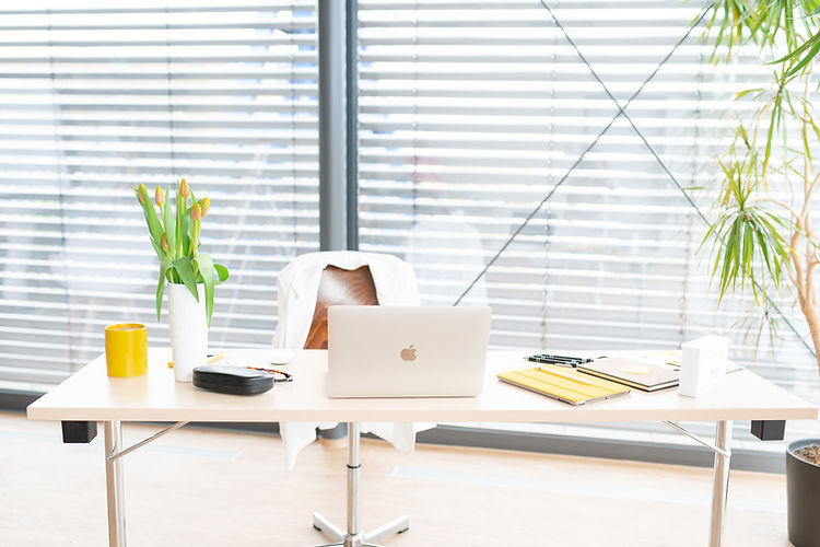 Marketing to go - MV