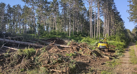 land clearing