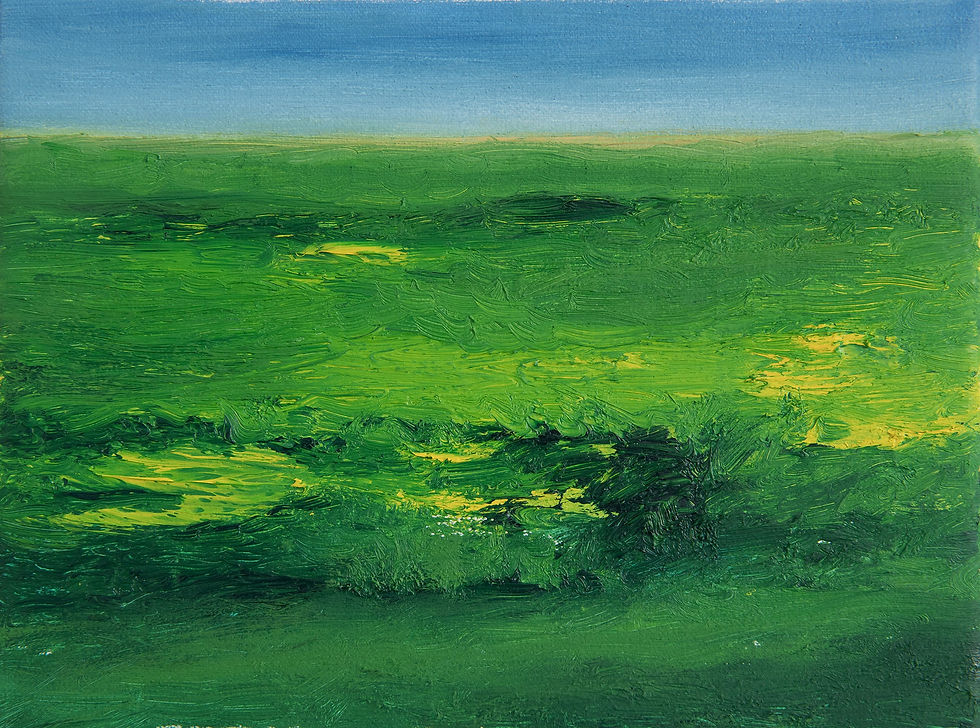 landschapjes XIII olie op doek 18x24cm
