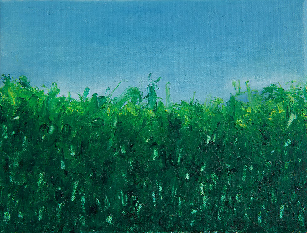 landschapjes XIV olie op doek 18x24cm