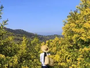 Τρείς Στεναγμούς πριν Ξημερώσει | Ποιήματα Κύπρου