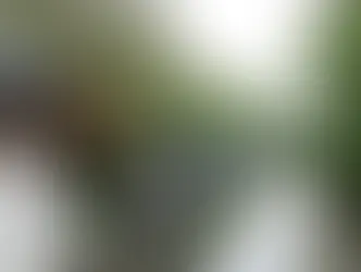 My Day | Melancholy Poems