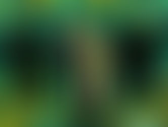 The Story of the Laughing Son | Political Poems