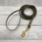 Biothane Dog Leash