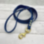 Biothane Dog Leash
