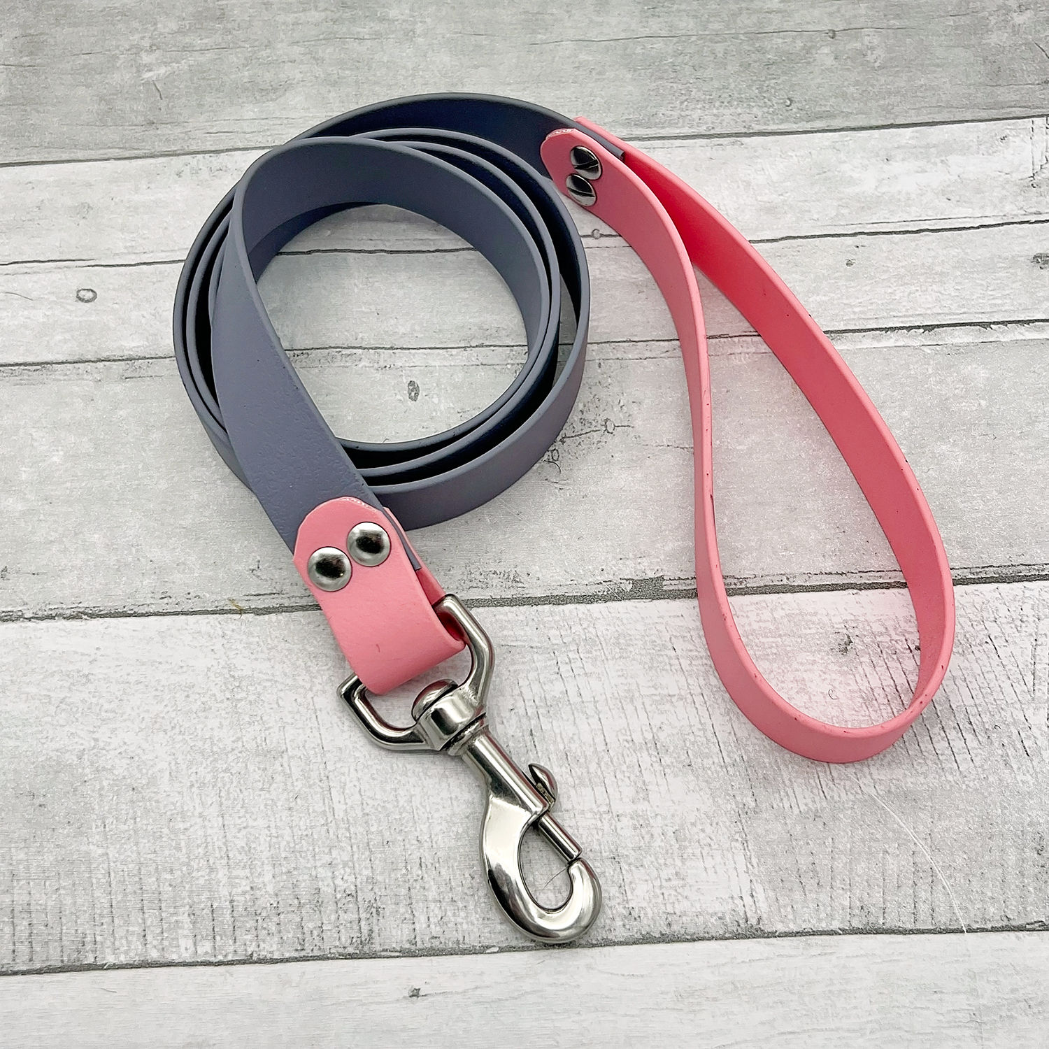 Biothane Dog Leash