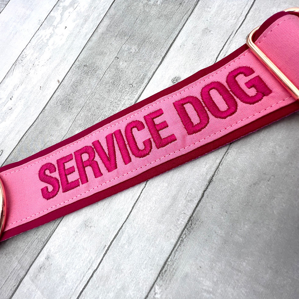 Service Dog Collar Embroidery