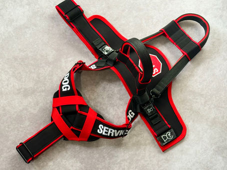 Service Dog Gear