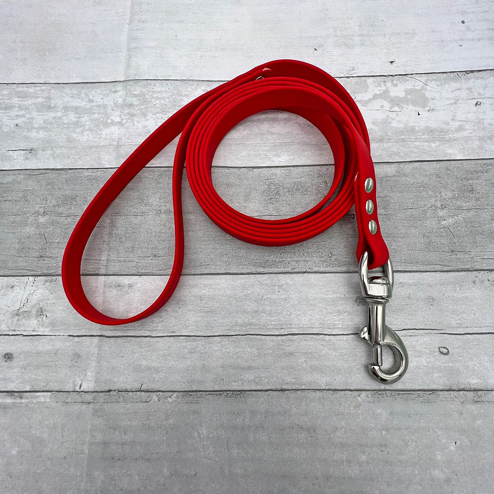 Biothane Dog Collars & Leashes pupcessoriescrafts