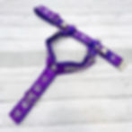 Thumbnail: Y-Front Dog Harness