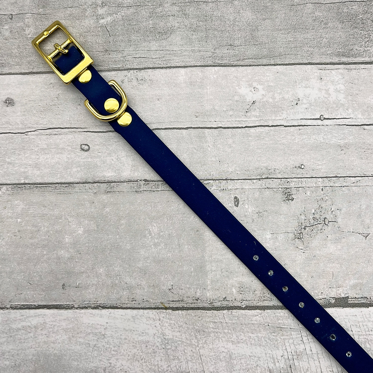 Biothane Dog Collar Small