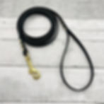 Biothane Dog Leash