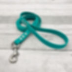 Biothane Dog Leash