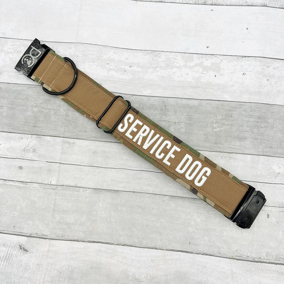 Thumbnail: Dog Collar | 2 inches