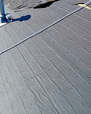 20250403_094717.jpg