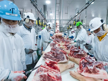 México inició 2024 con un incremento de 8% en las exportaciones de cerdo hacia EE. UU.