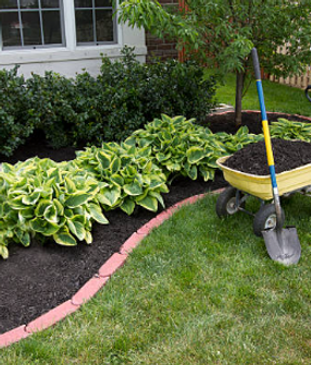 Landscaping.png