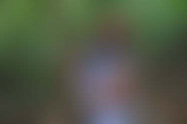 Lorena Saavedra Smith standing in a rainforest, gently holding a twisted vine while looking upward, reflecting the Andean principle of Ayni and humanity’s relationship with Nature.