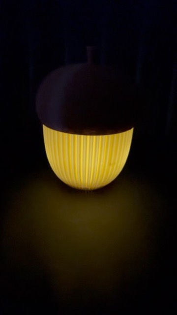 Thumbnail: Acorn Container