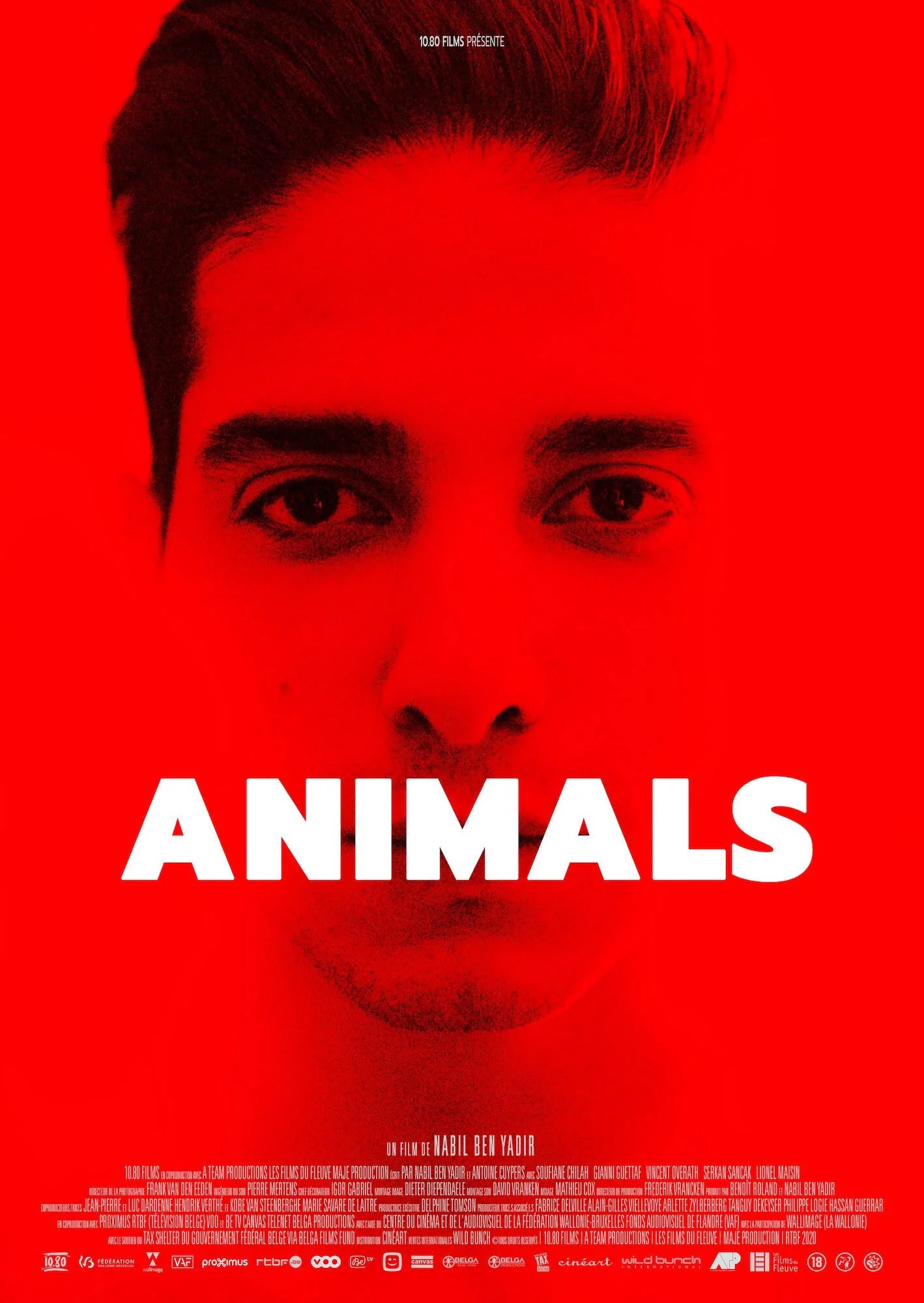 Les Grandes et Belles Toiles : Film ANIMALS de Nabil Ben Yadir