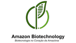07 (1) (2).png