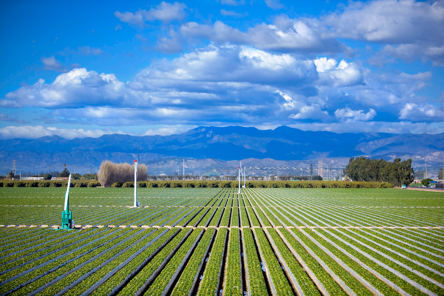 Property Management . Camarillo, Newbury Park, Ventura