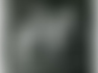 Catorce jinetes, catorce