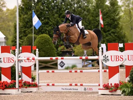 Salta muy bien el caballo de McLain Ward: Lestro vd Valckenborg