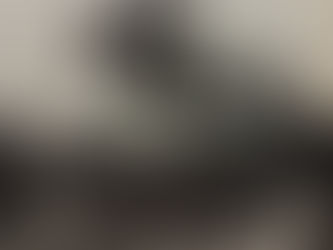 Belleza de imagen de Arlequín D y Pierre Jonqueres D'Oriola