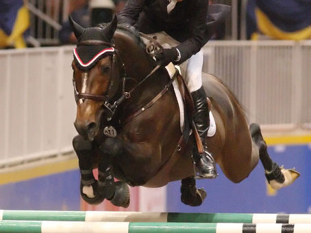 Era "inevitablemente" lo que venía