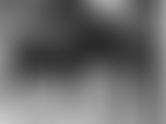 En breve los 3 años irán asomándose para el Derby de Kentucky