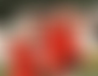 John Whitaker ganó un Gran Premio Internacional. Michael también en el concurso