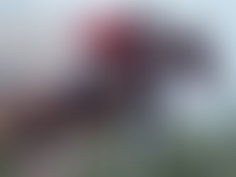 Harvey Smith con un caballo fantasma