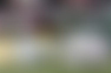 Kent Farrington número uno del mundo